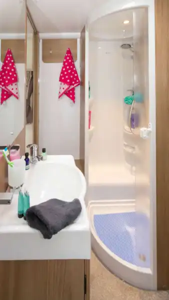 Towel hooks in the perfect place next to the shower (Click to view full screen)