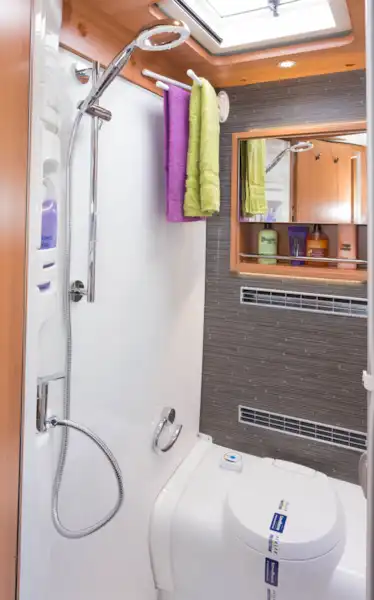 A triple-bar towel hanger, plus a rail below the mirror, in the shower-toilet room (Click to view full screen)